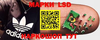 mix Кингисепп