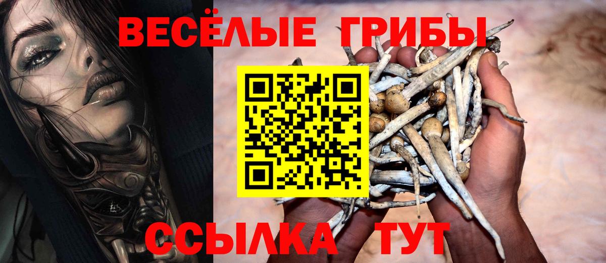 Псилоцибиновые грибы MAGIC MUSHROOMS Дивногорск