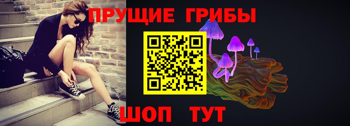 Дивногорск  Галлюциногенные грибы Psilocybine cubensis  Псилоцибиновые грибы мухоморы  Вход с VPN 